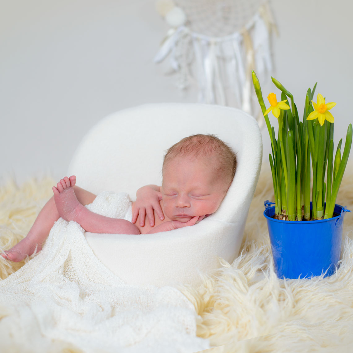 zdjęcia noworodkowe, fotografia noworodków, laicoti 